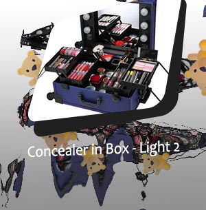 Make up box with light